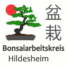 Bonsai-Arbeitskreis @ b-west